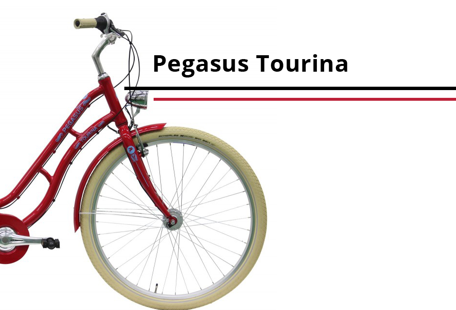 Pegasus Tourina