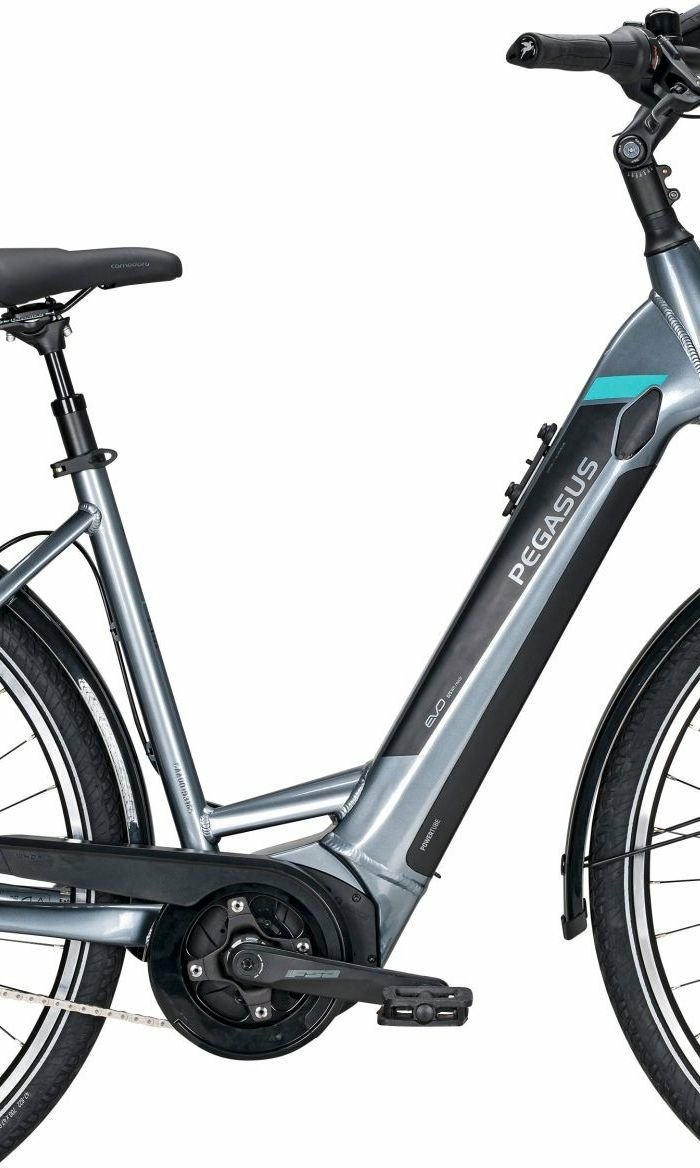 Pegasus Premio Evo R Wh Gang Nabenschaltung Damenfahrrad