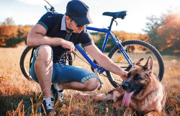 Mit dem Hund Fahrrad fahren Im Sommer ist Vorsicht