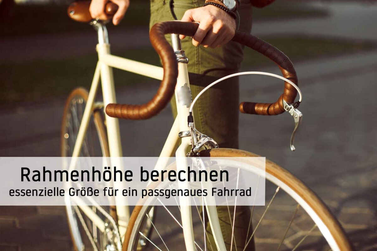 Bremsklötze Wechseln Fahrrad Scheibenbremse