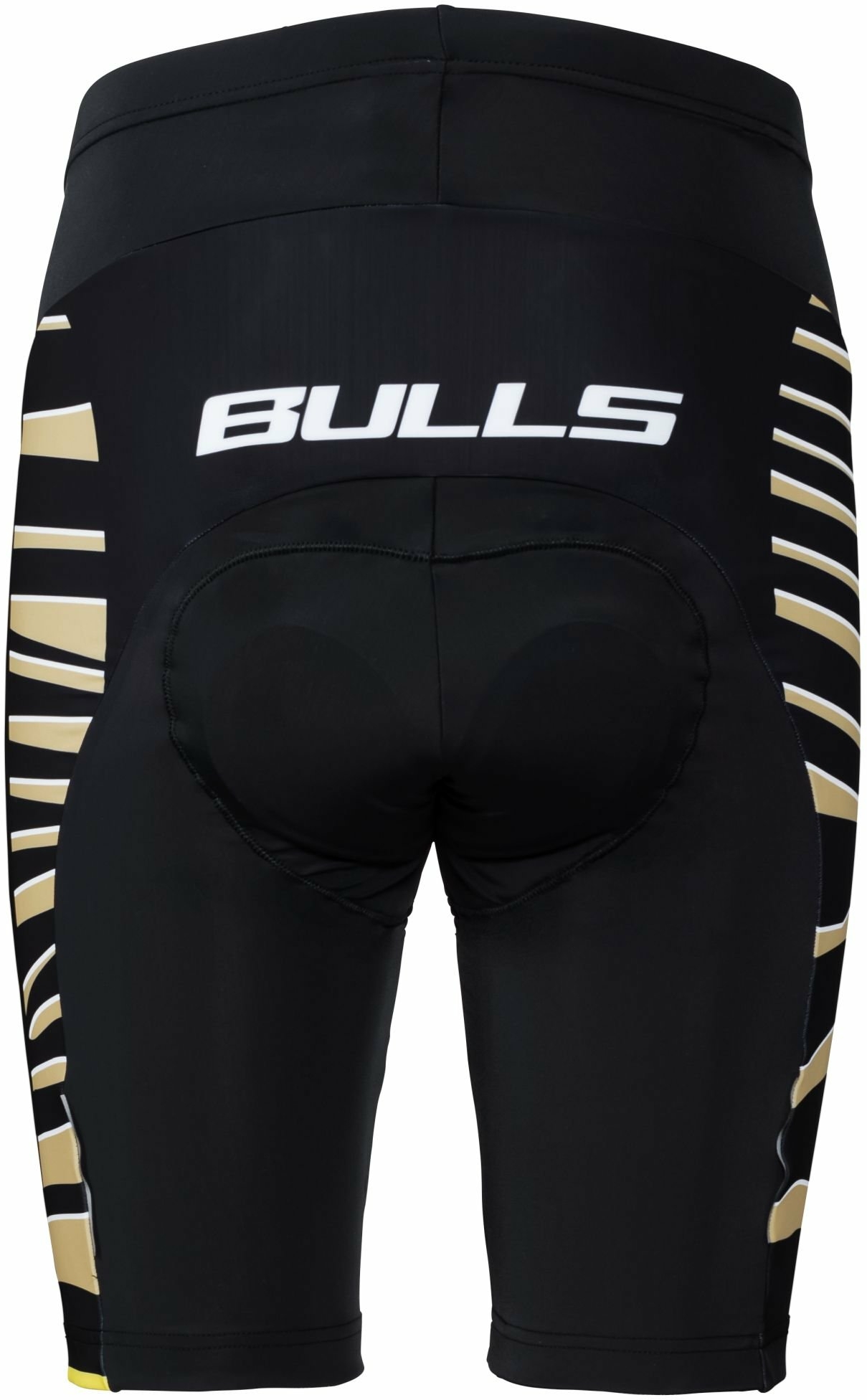 BULLS Shorts Zebra Shorts
