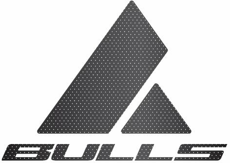 BULLS Promotion T-Shirt Women BULLS 2021