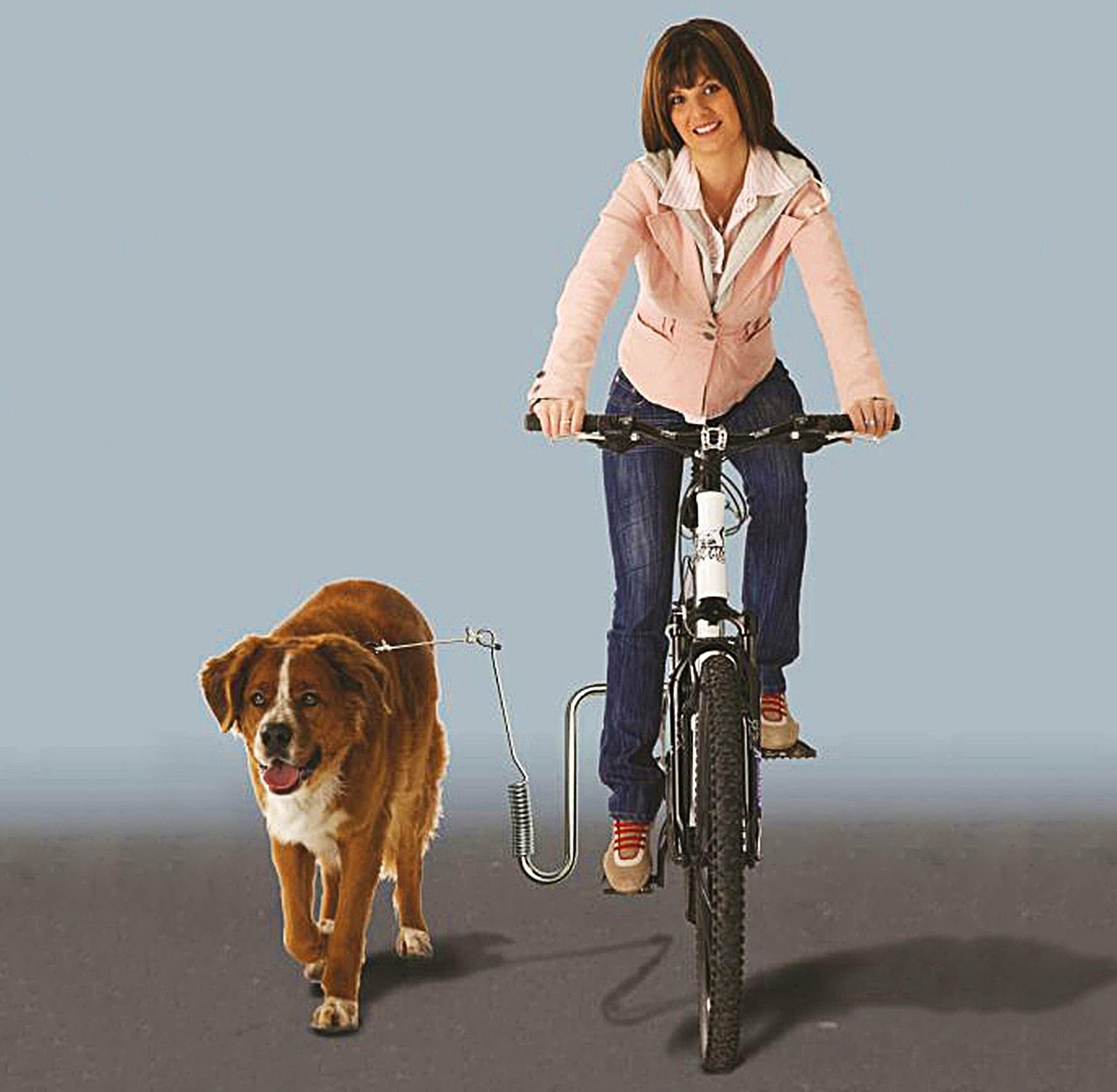 Kleinmetall Dogrunner Fahrradhalter für den Hund